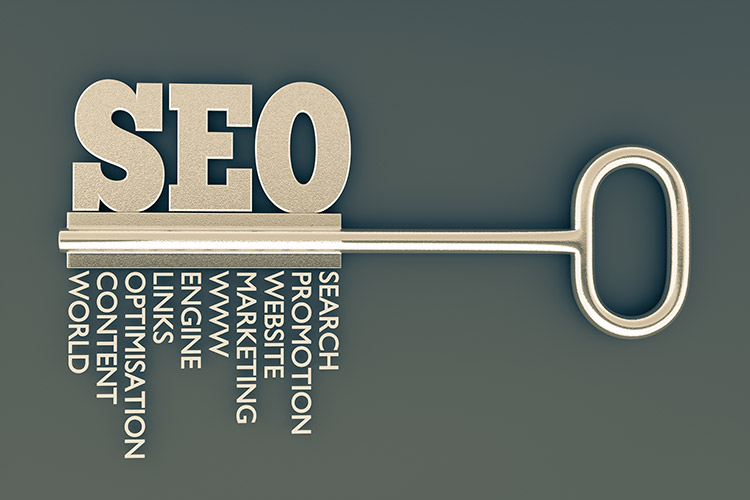 seo service firm in pune