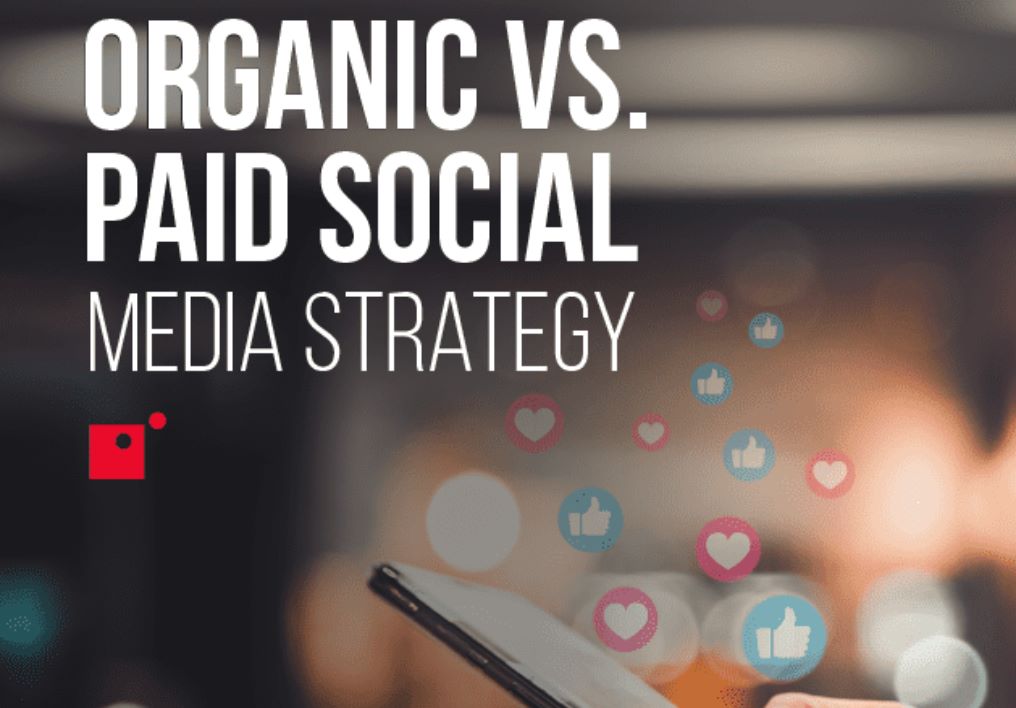 Paid vs Organic Social Media Marketing - Which One is Right for You